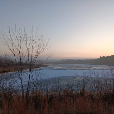 Ferry Pond slow to freeze this season!