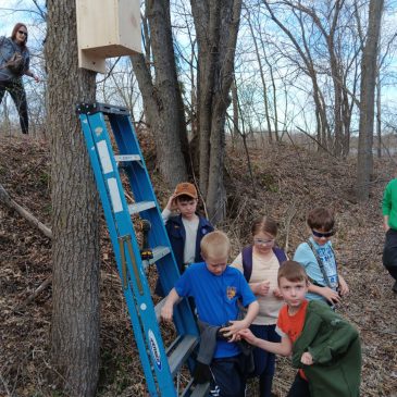 New Wood Duck nest boxes installed at the Preserve!