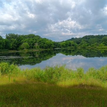 Mid Summer is a great time to visit the Preserve!